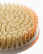 Körperbürste mit weichen Borsten – sanftes Peeling mit langem Griff für den Rücken – Produktbild 4